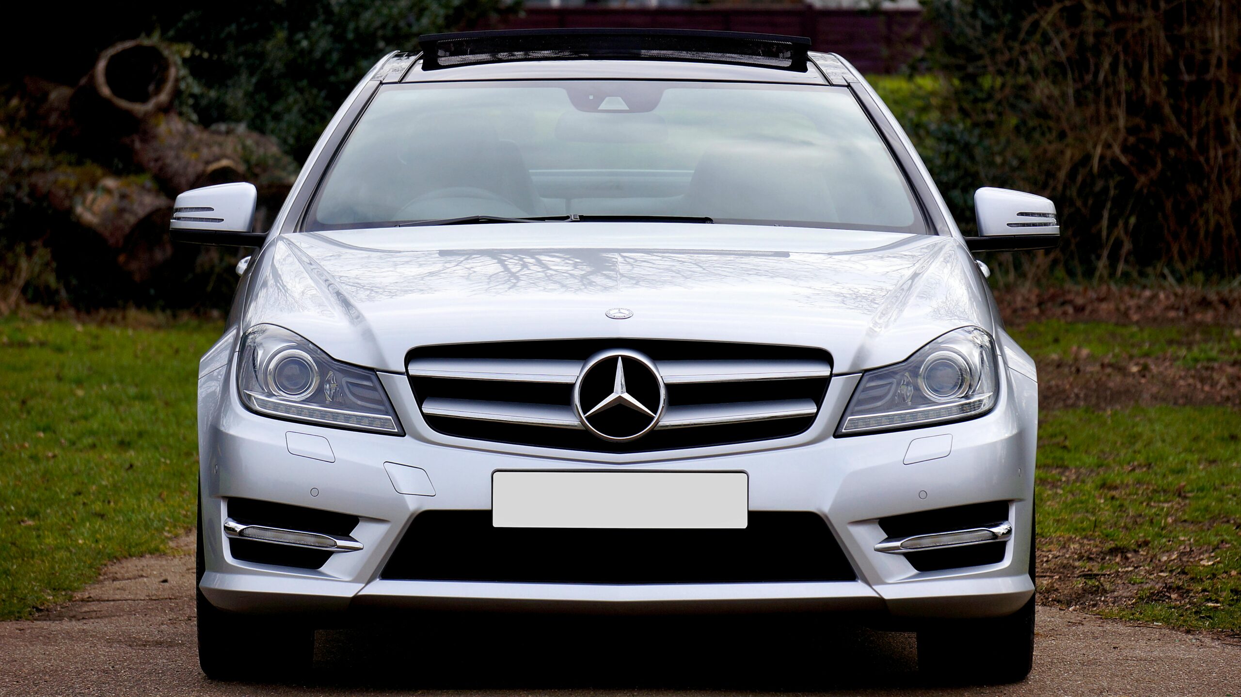 Front view of a sleek silver luxury coupe car parked on a road, surrounded by greenery.