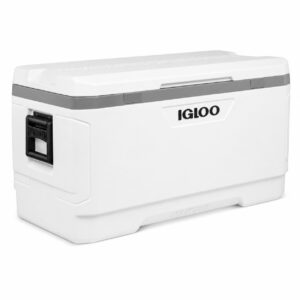 Originale Glacière Igloo MaxCold 150 quarts haute performance, Capacité de 248 canettes