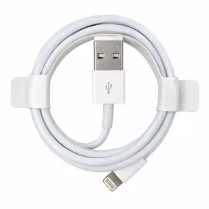 Apple Lightning vers USB (1 m / 3,3 pi) – Original OEM  Blanc